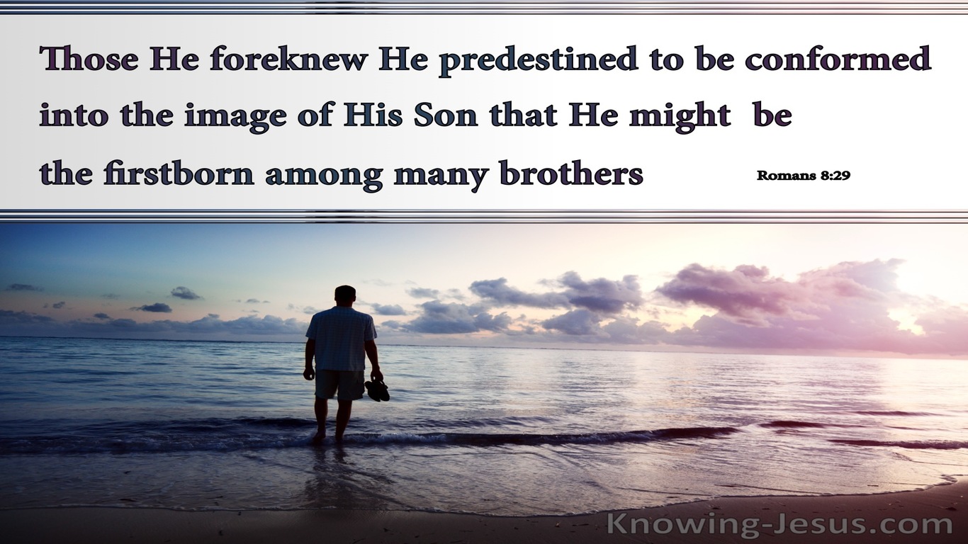 Romans 8:29 Those He Foreknew He Predestined : by God (devotional)12:02 (gray)